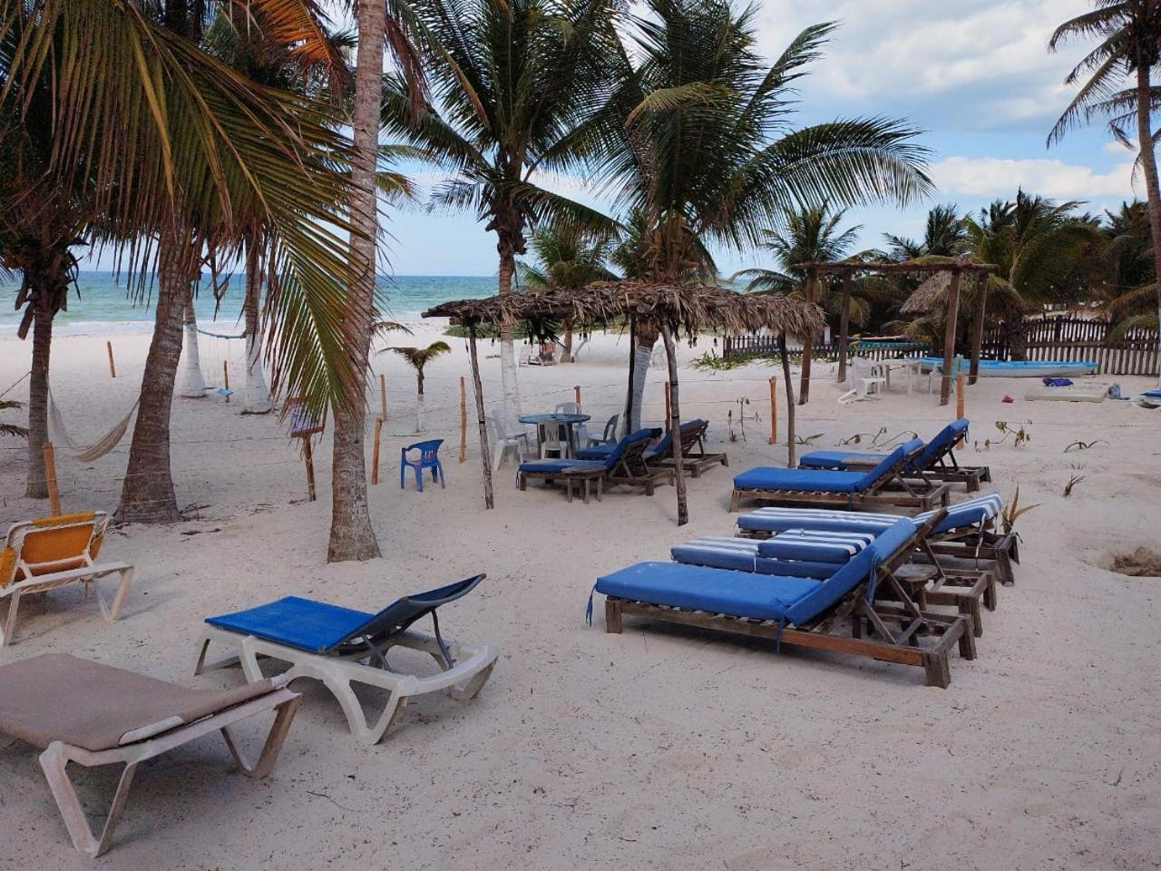 Casa Mate Beachfront Houses エル・コージョ エクステリア 写真